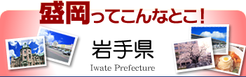 盛岡ってこんなとこ！岩手県