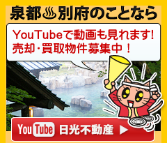 YouTubeで動画も見れます！