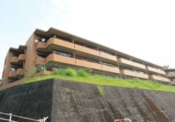仙台不動産連合隊 賃貸マンション アパート 新築 中古住宅情報 仙台不動産連合隊 賃貸マンション アパート 新築 中古住宅情報