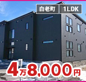 ビッグ苫小牧中央店 K'不動産株式会社