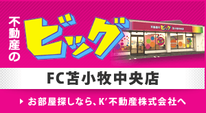 苫小牧不動産連合隊 賃貸マンション アパート 中古住宅 土地 苫小牧不動産連合隊 賃貸マンション アパート 中古住宅 土地